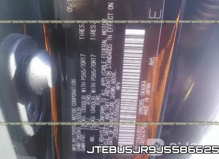 JTEBU5JR9J5586625_9.webp