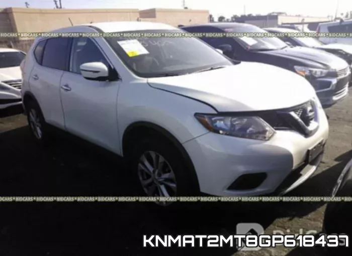 KNMAT2MT8GP618437