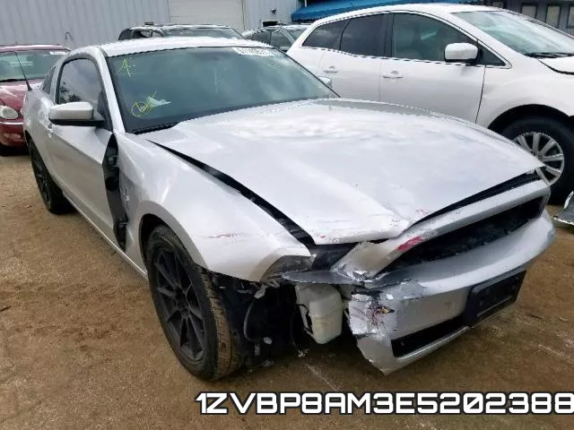 1ZVBP8AM3E5202388