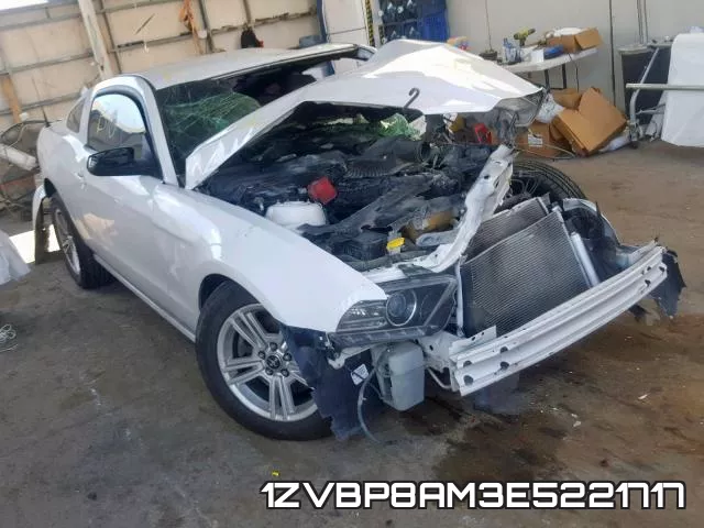 1ZVBP8AM3E5221717