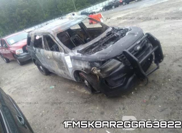 1FM5K8AR2GGA63822