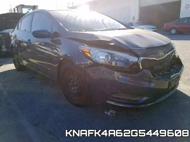KNAFK4A62G5449608