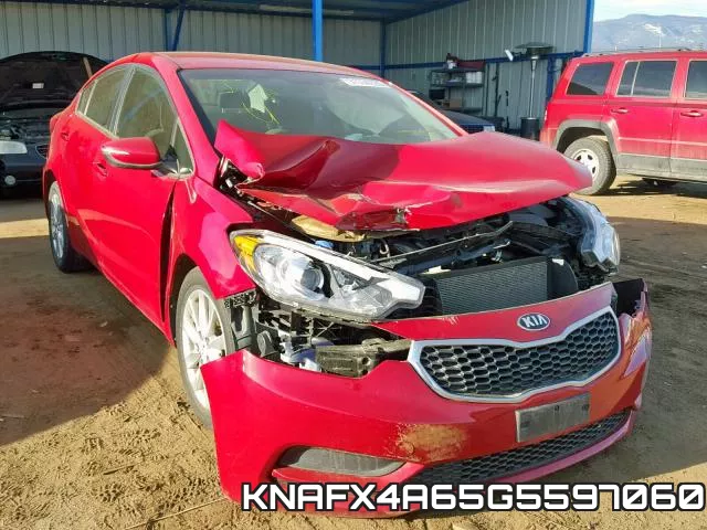 KNAFX4A65G5597060