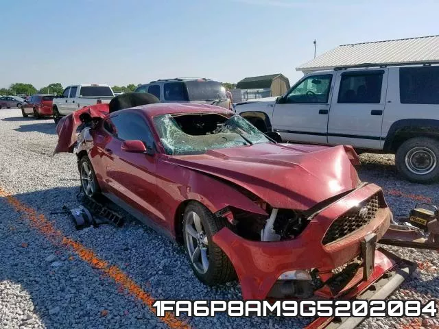 1FA6P8AM9G5202084