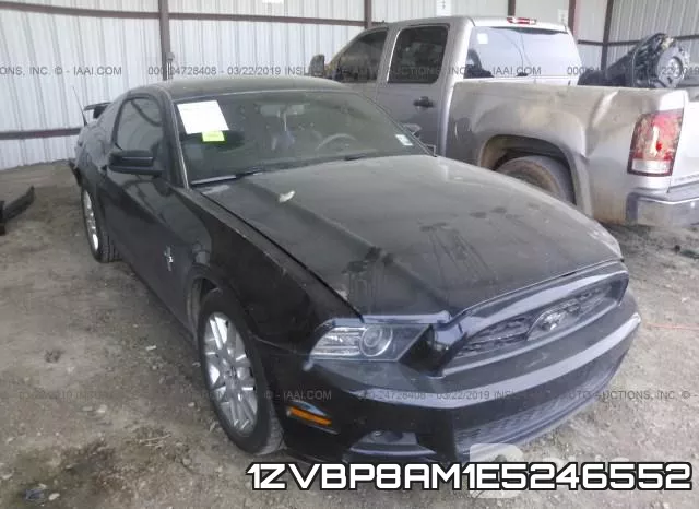 1ZVBP8AM1E5246552