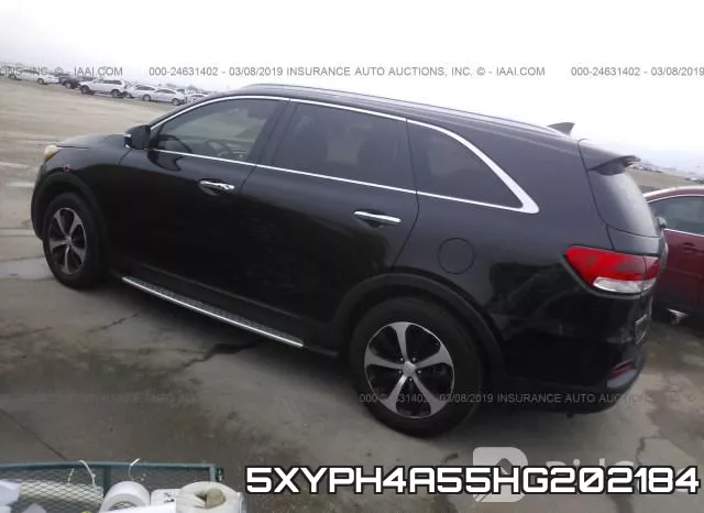 5XYPH4A55HG202184_3.webp