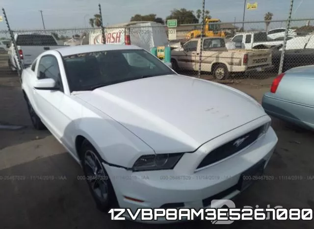 1ZVBP8AM3E5267080