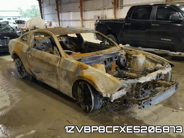 1ZVBP8CFXE5206873