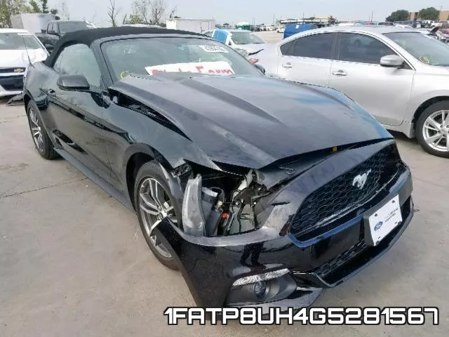 1FATP8UH4G5281567