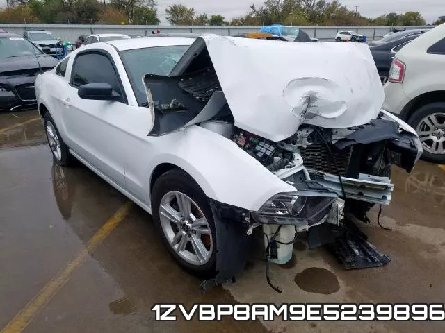 1ZVBP8AM9E5239896