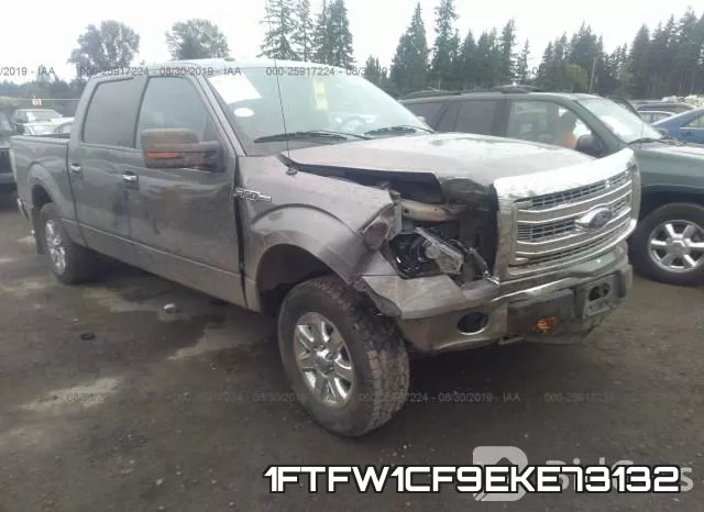 1FTFW1CF9EKE73132
