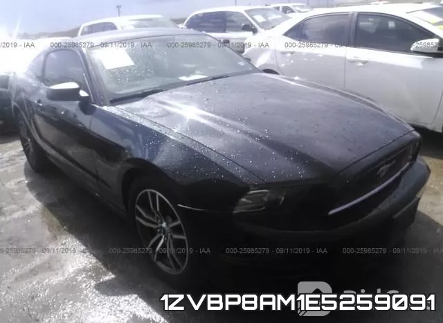 1ZVBP8AM1E5259091