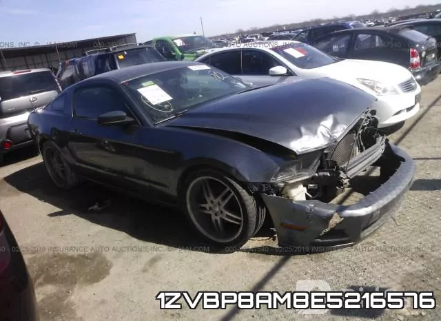 1ZVBP8AM8E5216576