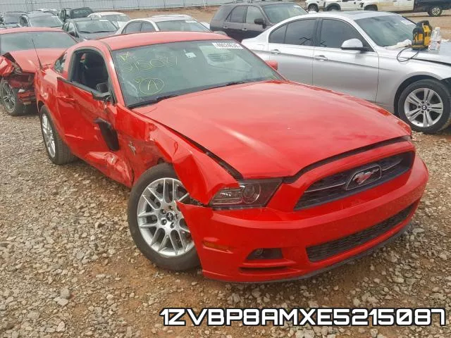 1ZVBP8AMXE5215087
