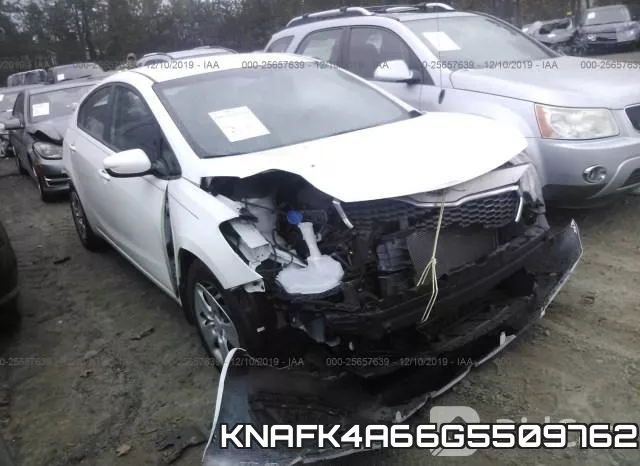 KNAFK4A66G5509762