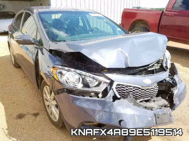 KNAFX4A89E5119514