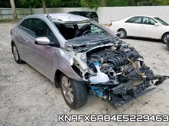 KNAFX6A84E5229463