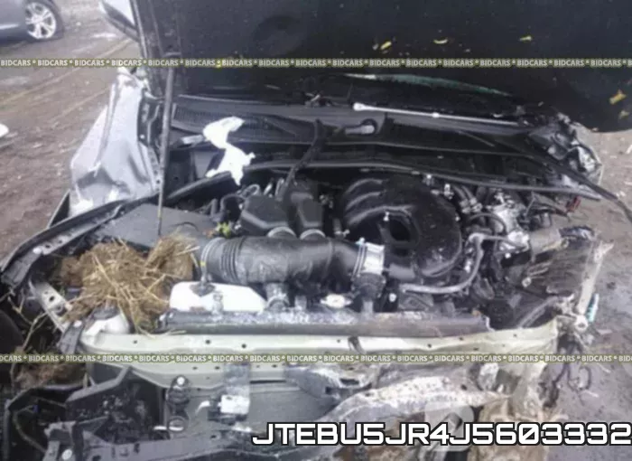 JTEBU5JR4J5603332_10.webp