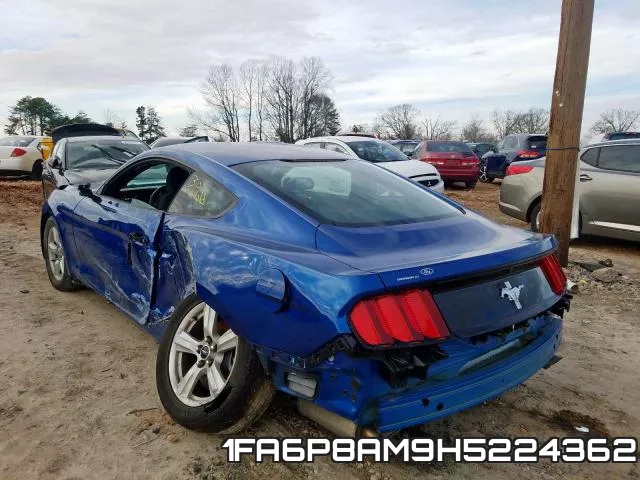 1FA6P8AM9H5224362_3.webp