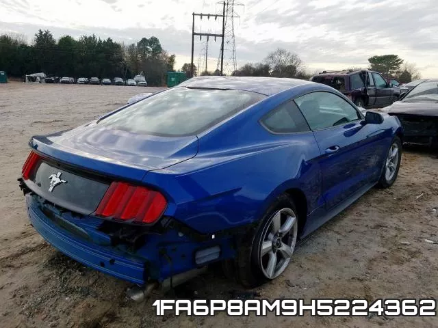 1FA6P8AM9H5224362_4.webp