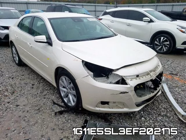 1G11E5SL3EF202175