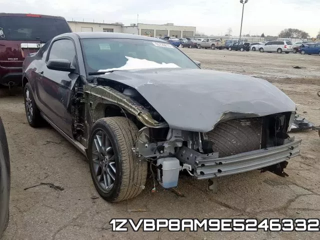 1ZVBP8AM9E5246332