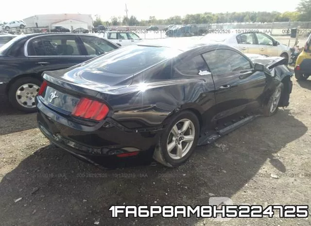 1FA6P8AM8H5224725_4.webp