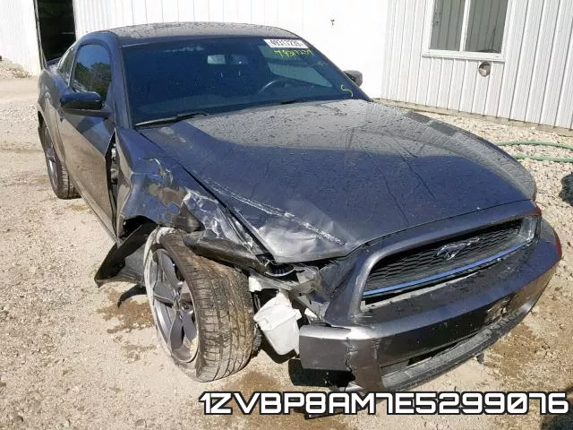 1ZVBP8AM7E5299076