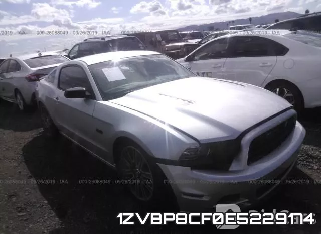 1ZVBP8CF0E5229174