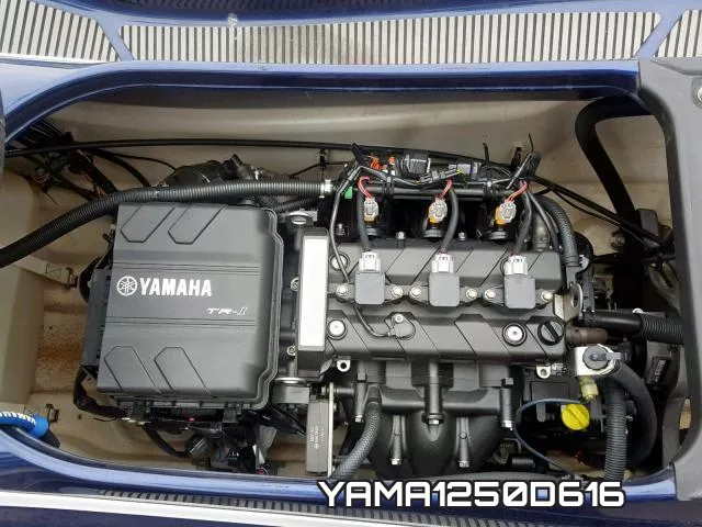 YAMA1250D616