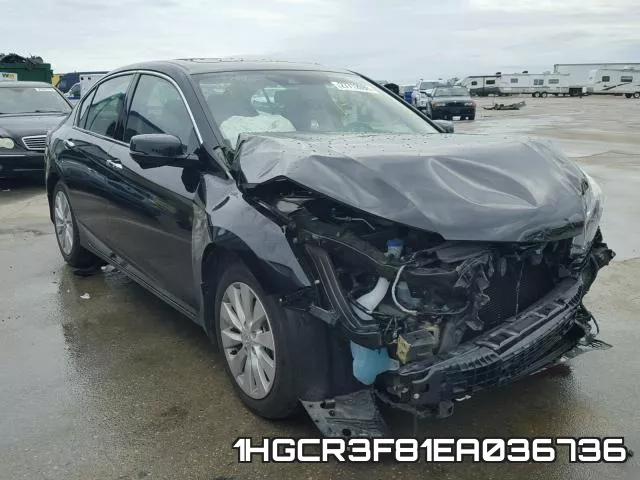 1HGCR3F81EA036736
