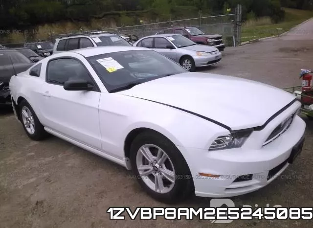1ZVBP8AM2E5245085
