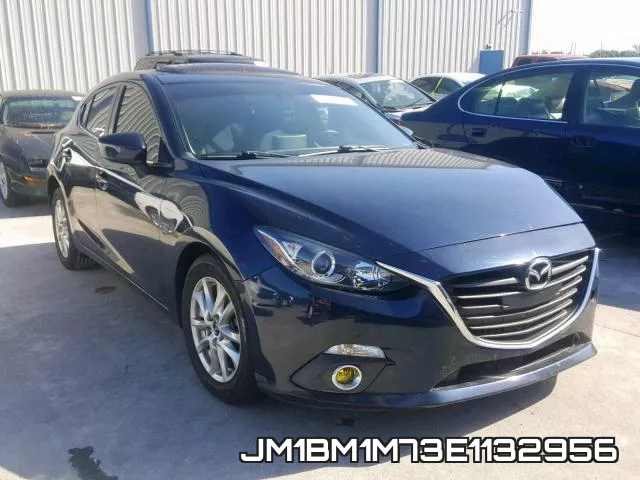 JM1BM1M73E1132956