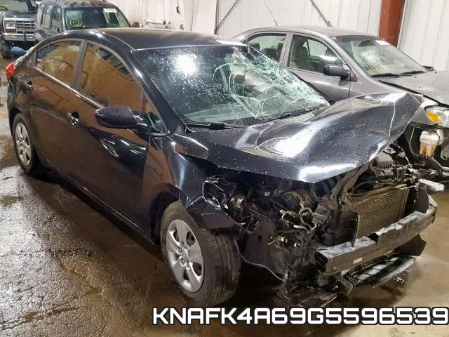 KNAFK4A69G5596539