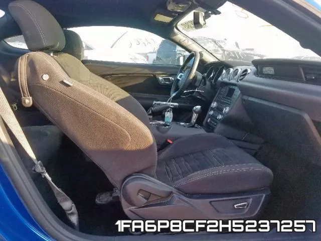 1FA6P8CF2H5237257_5.webp