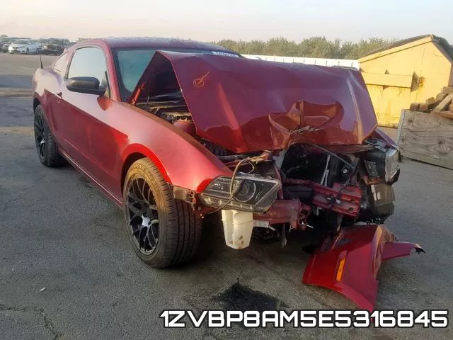1ZVBP8AM5E5316845