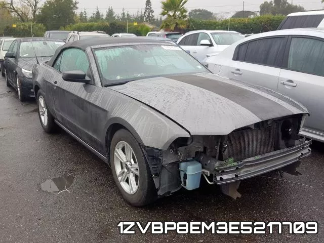 1ZVBP8EM3E5217709