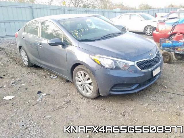 KNAFX4A65G5608977