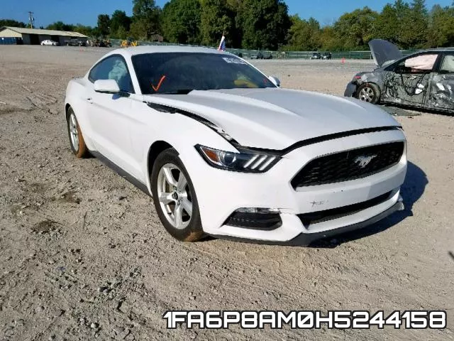 1FA6P8AM0H5244158_1.webp