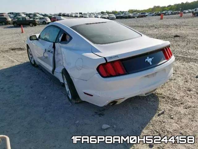 1FA6P8AM0H5244158_3.webp