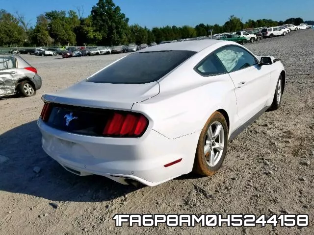 1FA6P8AM0H5244158_4.webp