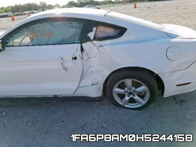 1FA6P8AM0H5244158_9.webp
