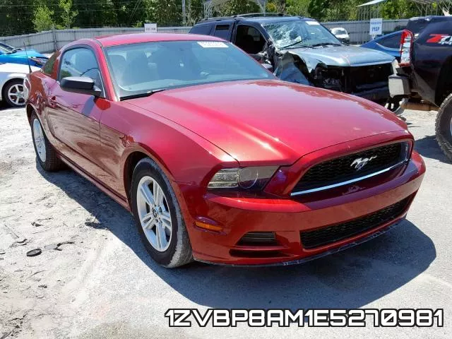 1ZVBP8AM1E5270981