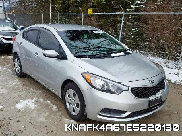 KNAFK4A67E5220130