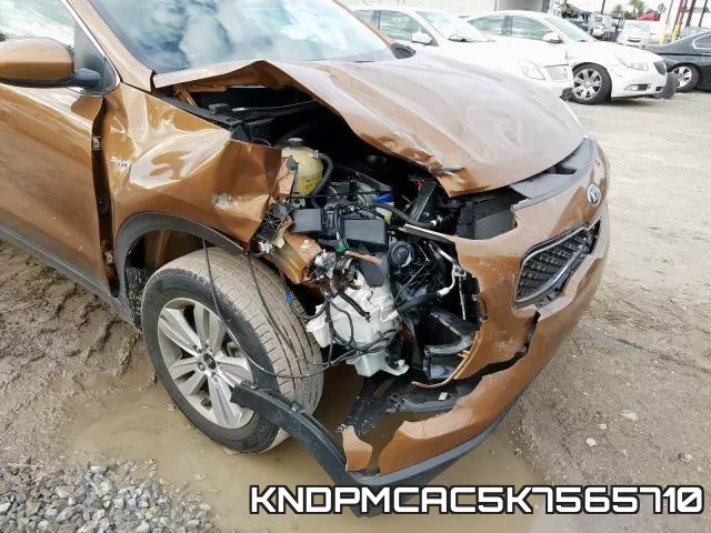 KNDPMCAC5K7565710_9.webp