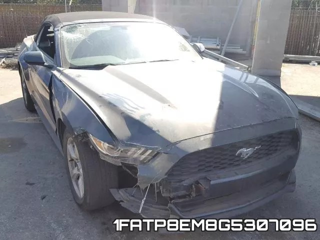 1FATP8EM8G5307096