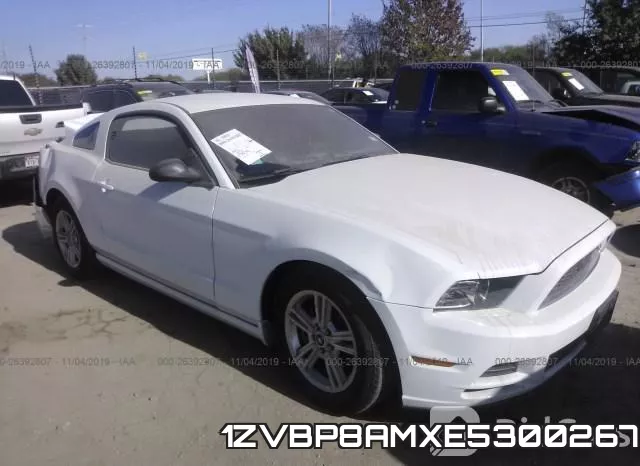 1ZVBP8AMXE5300267