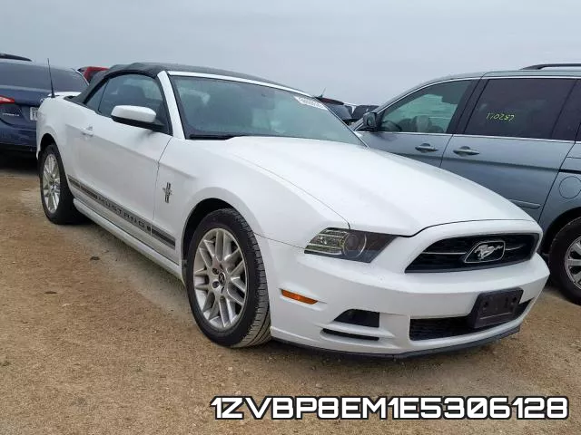 1ZVBP8EM1E5306128