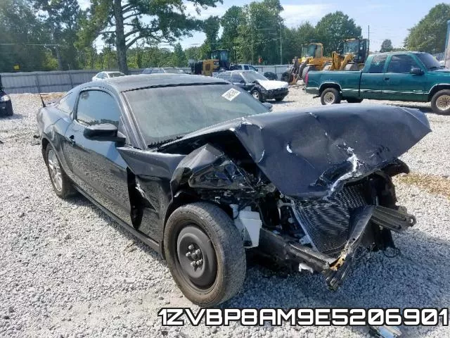 1ZVBP8AM9E5206901