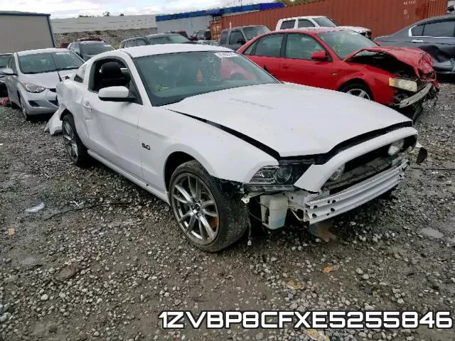 1ZVBP8CFXE5255846